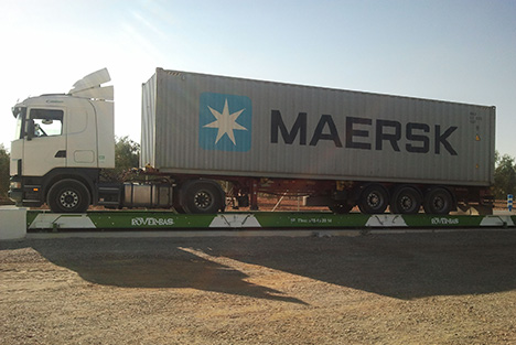 Entrega en sacos de anis y cilantro en grano