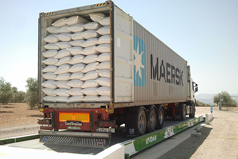 Entrega en sacos de anis y cilantro en grano
